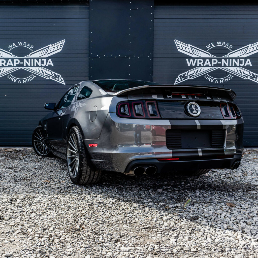 mustang gt shelby 500 pasy