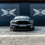 mustang gt shelby 500 pasy