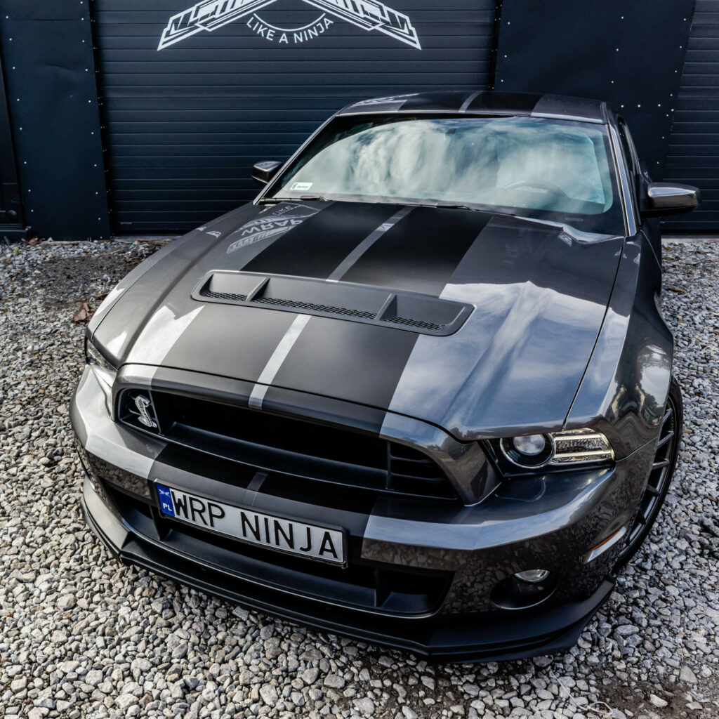 mustang gt shelby 500 pasy