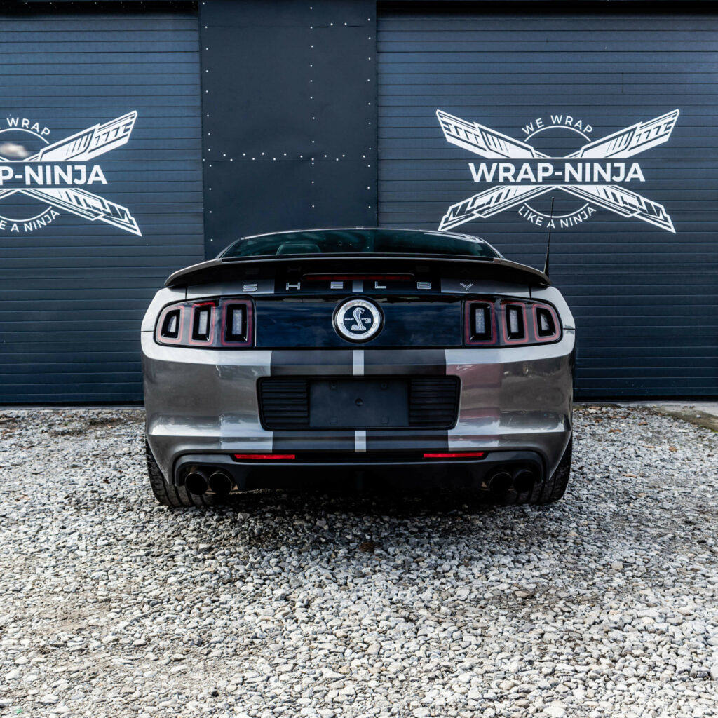 mustang gt shelby 500 pasy