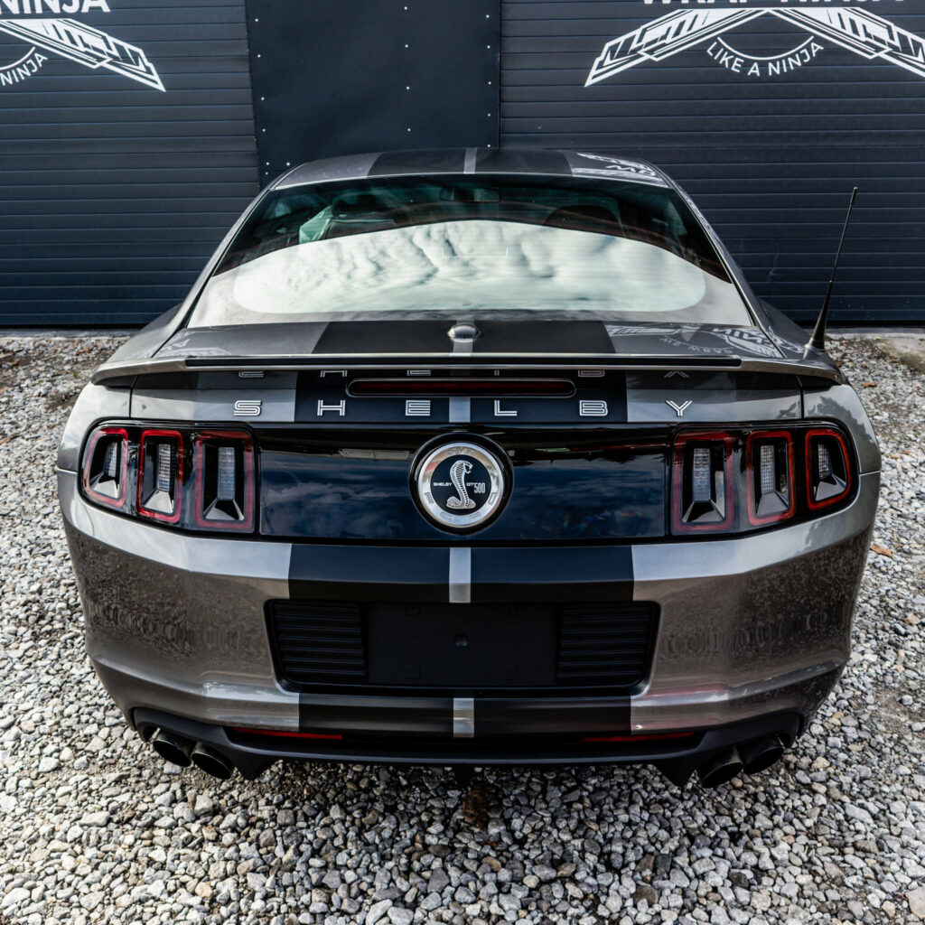 mustang gt shelby 500 pasy