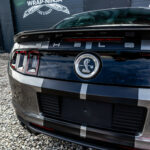 mustang gt shelby 500 pasy