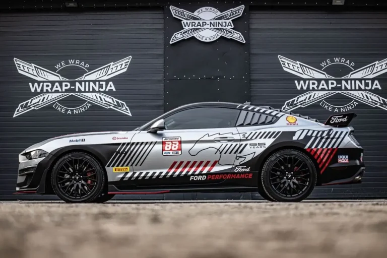 Ford mustang gt 5.0