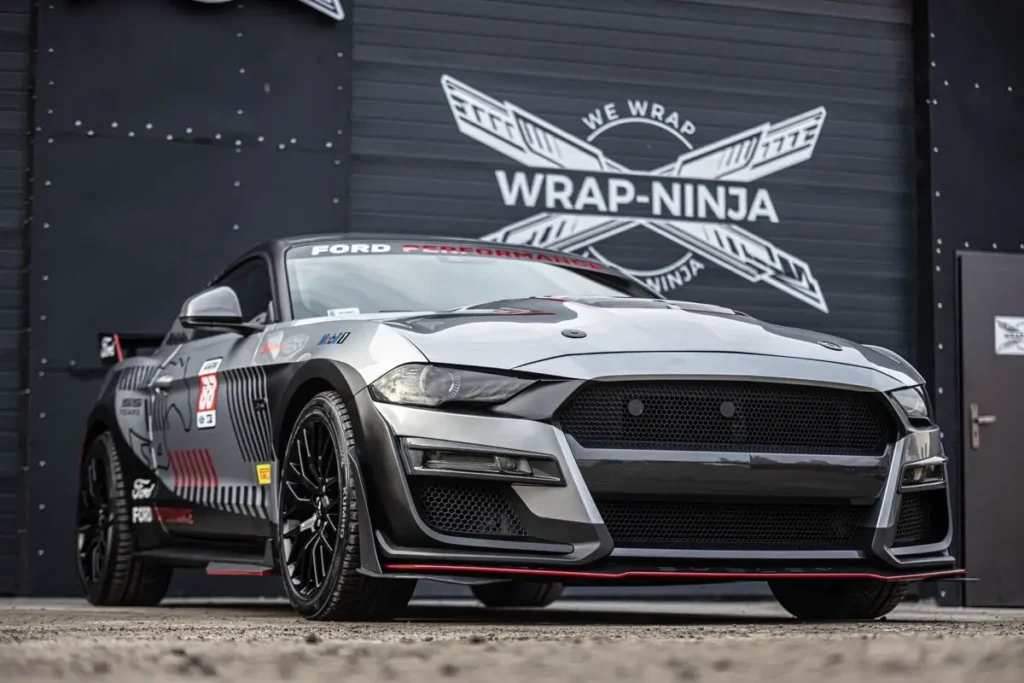 Ford mustang gt 5.0
